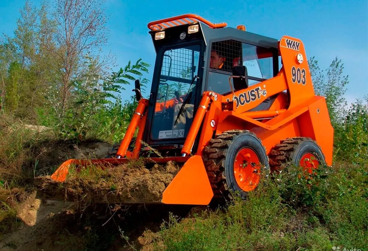 Locust 903
