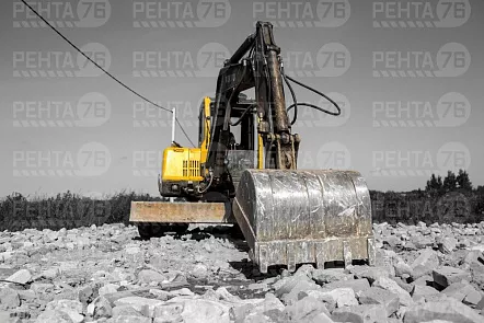 Фото VOLVO EC55 в прокат 
