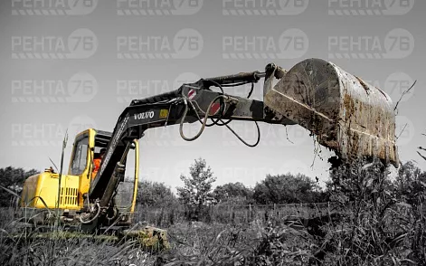 Фото VOLVO EC55 в прокат 