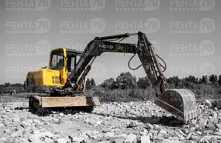 Фото VOLVO EC55 в прокат 